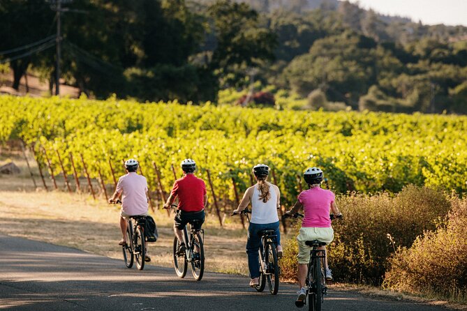Half Day Guided Electric Bike Wine Tasting Tour with Lunch - Two winery stops for rosé, whites, and reds (with an optional tasting plan)