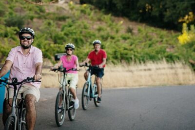 Half Day Guided Electric Bike Wine Tasting Tour with Lunch - How the ride runs: small group energy and guide-led pacing