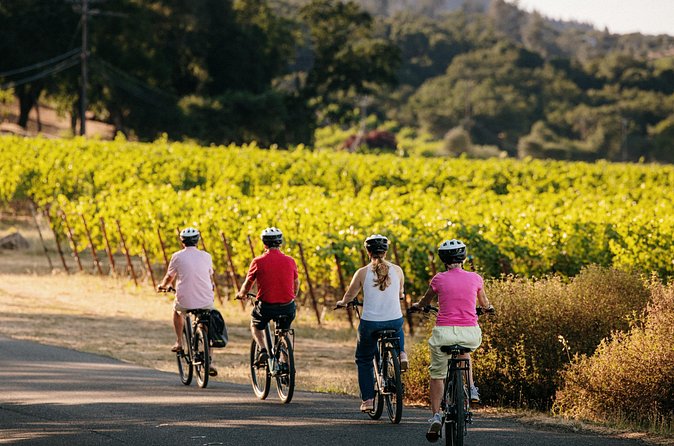 Half Day Guided Electric Bike Wine Tasting Tour with Lunch - Price check: $179 feels fair when you count what’s included