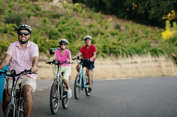 Half Day Guided Electric Bike Wine Tasting Tour with Lunch - Who should book this e-bike wine tour in Healdsburg?