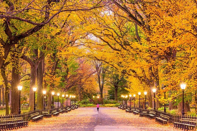 Half-Day Hell's Kitchen Food Tour and Central Park Stroll - Key things that make this tour worth your time