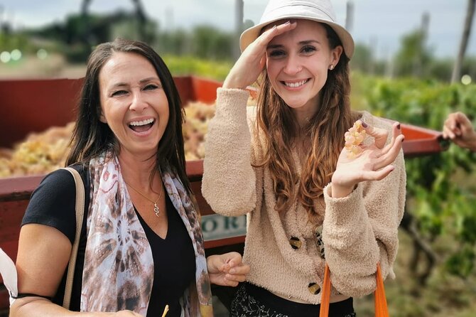 Half-Day Minardi Wine and Food Tour in Frascati - Lunch with the family: food pairing that keeps the day relaxed