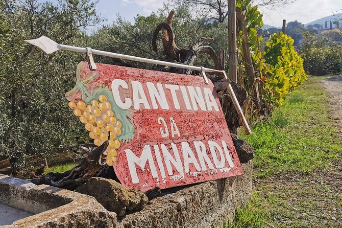 Half-Day Minardi Wine and Food Tour in Frascati - Your guide experience: small-group talk, not scripted chatter