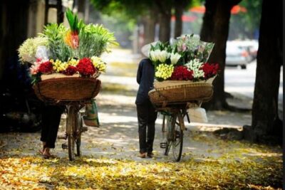 Hanoi street food tour (small group) - Pickup, timing, and where to meet without stress