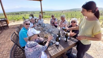 Heraklion: Cretan Wine Tasting Tour & Gourmet Lunch - Your host and the small-group rhythm (up to 6 people)
