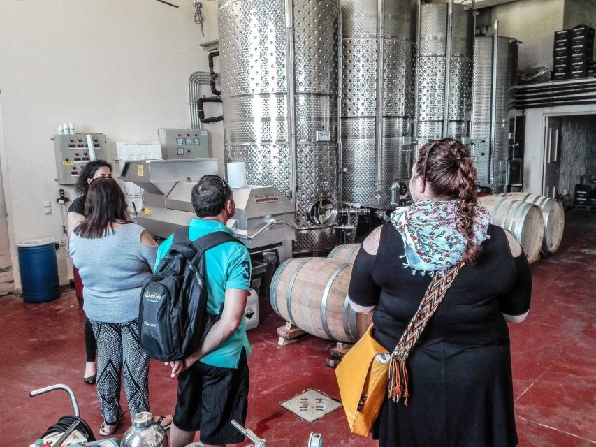 Heraklion: Cretan Wine Tasting Tour & Gourmet Lunch - What’s included in the price—and what you’ll pay for yourself