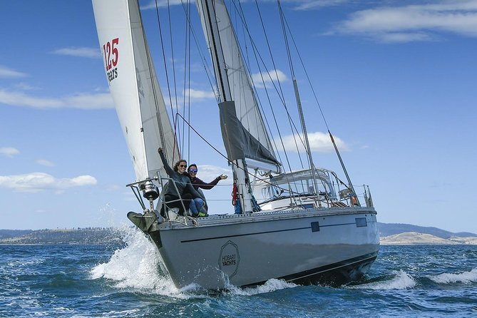 Hobart Half Day Wine and Food Tour - Group size, ride comfort, and what it feels like once you get rolling