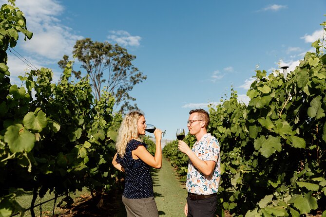 Hop on Hop off Wine tasting tour to Tamborine Mountain - First stop briefing and the real meaning of hop-on hop-off