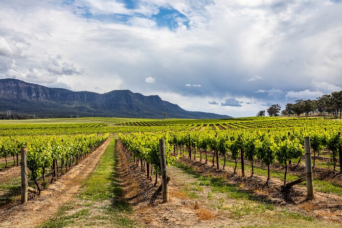 Hunter Valley Wine Tasting Tour from Sydney - Key Points You’ll Care About