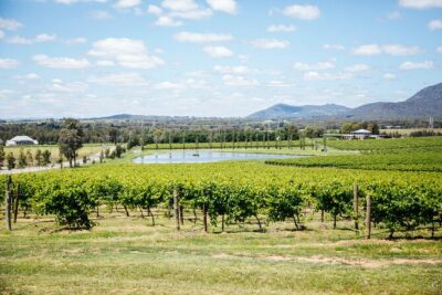 Hunter Valley Wine Tasting Tour from Sydney - The Day’s Big Rhythm: 5 Stops, a Lunch Break, and a Pace You Can Handle