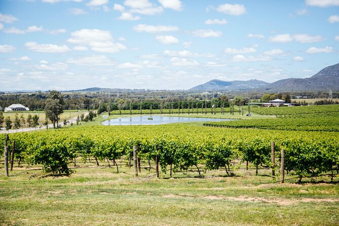 Hunter Valley Wine Tasting Tour from Sydney - The Day’s Big Rhythm: 5 Stops, a Lunch Break, and a Pace You Can Handle
