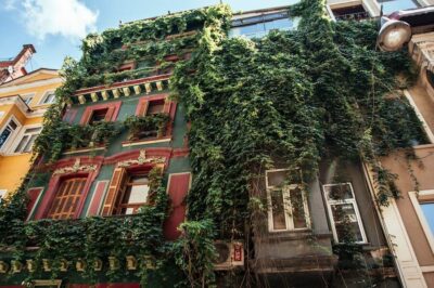 Istanbul: Private Guided Food Tour with 10 Tastings - Your 10 tastings: sweet, savory, and local drinks you’ll remember