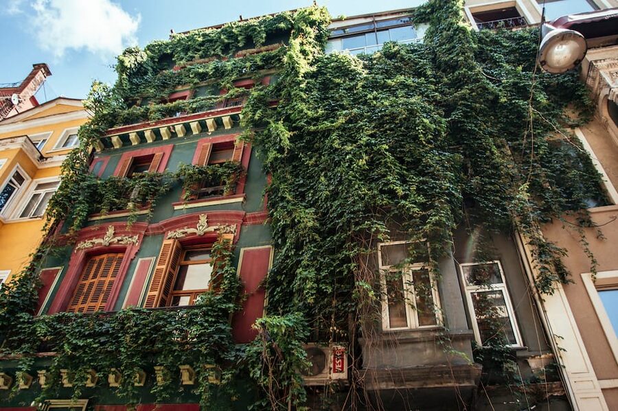 Istanbul: Private Guided Food Tour with 10 Tastings - Your 10 tastings: sweet, savory, and local drinks you’ll remember