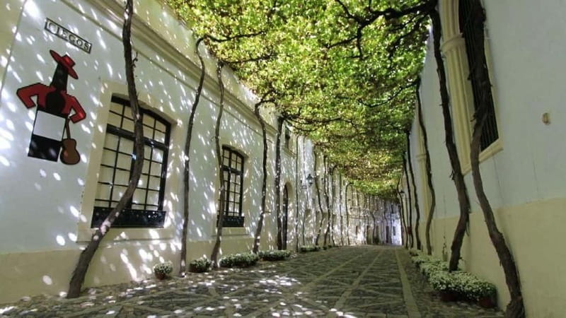 Jerez: 1.5-Hour Sherry Winery and Tasting Tour - González Byass in Jerez: Why This Stops You Shouldn’t Skip