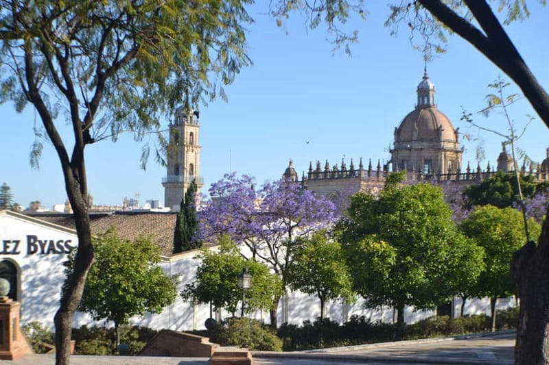 Jerez: 1.5-Hour Sherry Winery and Tasting Tour - Price and Value: Why $39 Can Be a Good Deal in Jerez