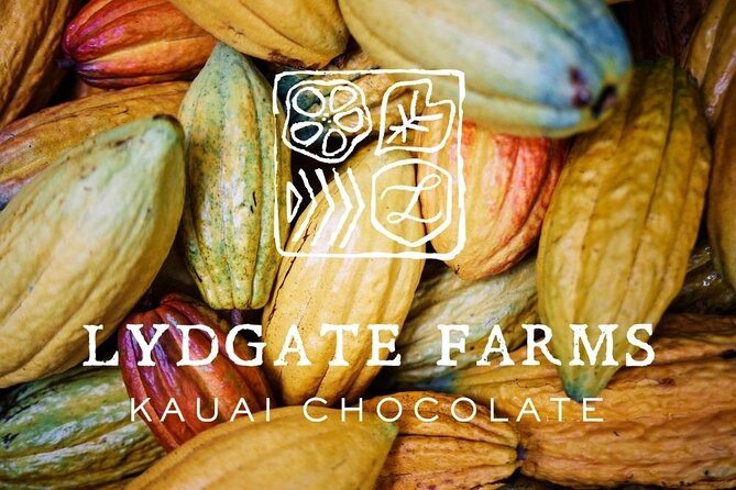 Kauai Chocolate Farm Tasting Tour - Botanical garden stroll: honey, vanilla beans, and fruit picked right there