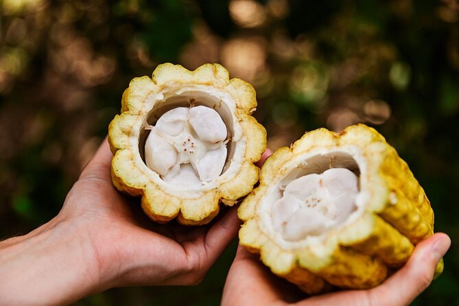 Kauai Chocolate Farm Tasting Tour - Chocolate tasting menu: macadamia, banana, and 55% to 70% comparisons