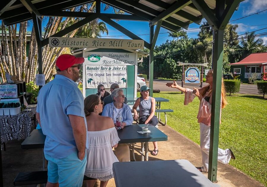 Kauai: Local Tastes Small Group Food Tour - Saturday Lihue + Farmers Market: meet farmers, then eat your way through town