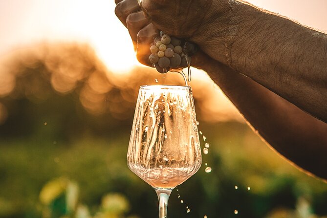 Krka Waterfalls & Wine and Cheese Tasting Tour from Split - The Pace, Group Size, and What a Great Guide Adds