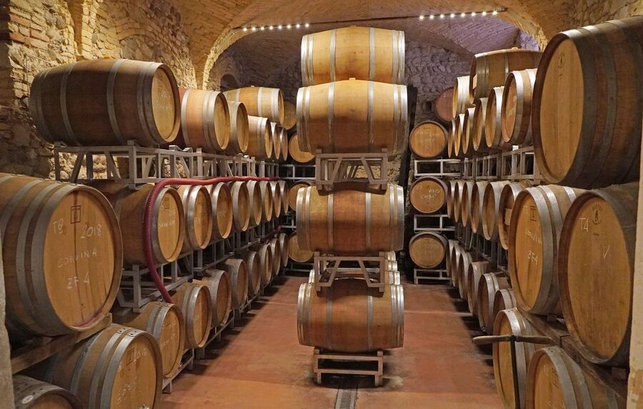 Lazise: Historical Center Wine Tasting Tour - The winemaking story you’re actually supposed to listen to