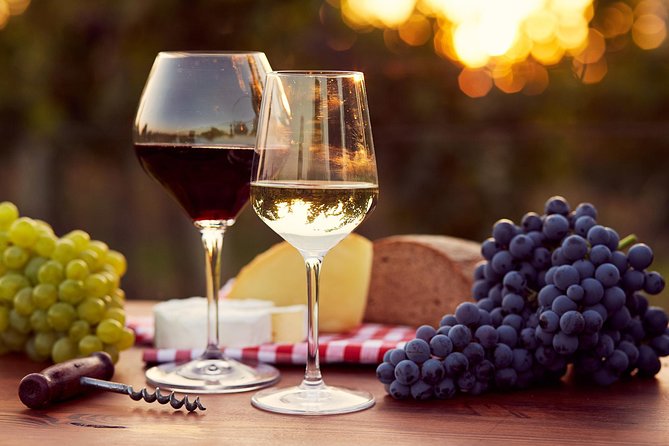 Lebanon Wine Tasting Tour From Beirut - Price and Logistics: Is $91.03 Worth It?