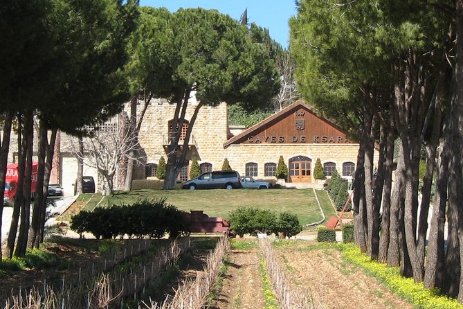 Lebanon Wine Tasting Tour From Beirut - How to Get the Most Out of Your Tastings (Without Overdoing It)