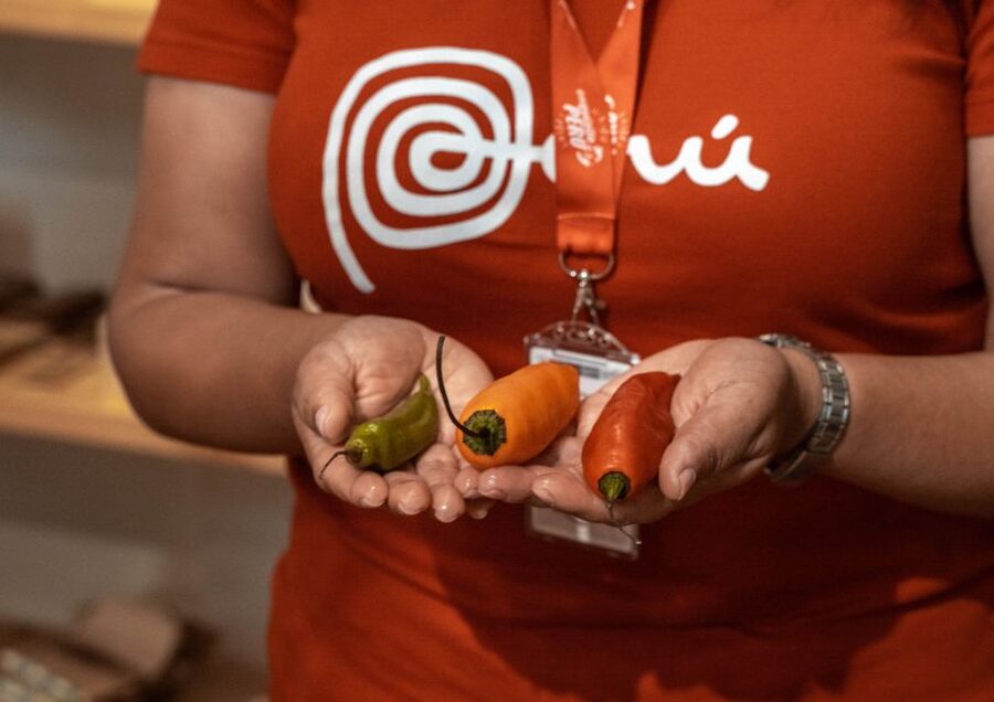 Lima: Ultimate Peruvian Food Tour - Ending with a local bar and café tasting