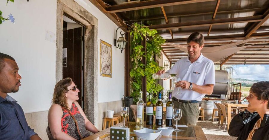 Lisbon Private Setúbal Region Wine Tasting Tour - Setúbal from Lisbon: why this wine day feels more Portuguese
