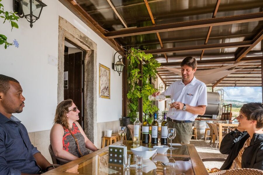 Lisbon Private Setúbal Region Wine Tasting Tour - José Maria da Fonseca: the one cellar that always anchors the day