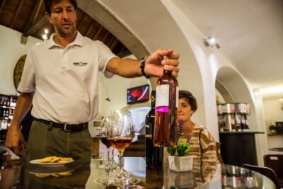 Lisbon Private Setúbal Region Wine Tasting Tour - Two ways to do it: 3 wineries or 2 wineries plus lunch