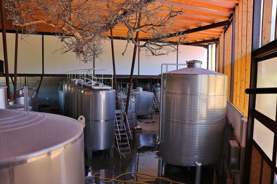 Lisbon Private Setúbal Region Wine Tasting Tour - Quinta do Alcube and Adega Assis Lobo: the family-cellar contrast