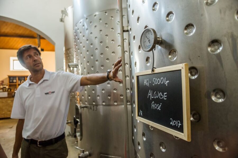 Lisbon Private Setúbal Region Wine Tasting Tour - How the guides shape the day (and why it shows)