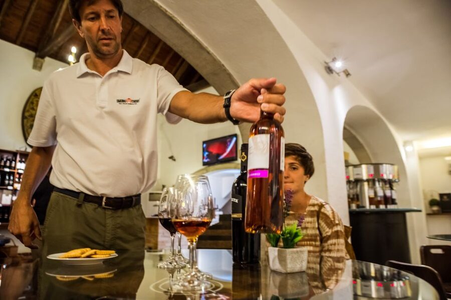 Lisbon Private Setúbal Region Wine Tasting Tour - Two ways to do it: 3 wineries or 2 wineries plus lunch