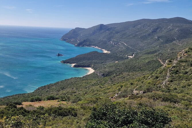 Lisbon Wine Tour: Azeitao, Setubal and Arrabida and Hotel Pickup - How the 8:30am Lisbon pickup keeps the day easy