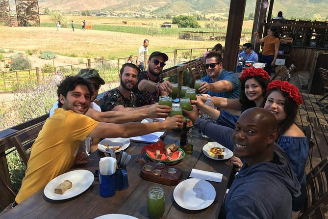 Luxury Private Wine Tasting Tour to Guadalupe Valley from San Diego - Key things you’ll notice on this private Valle de Guadalupe wine tour