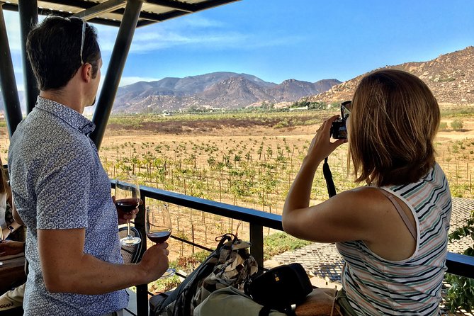 Luxury Private Wine Tasting Tour to Guadalupe Valley from San Diego - Safety-first border crossing: what you’re really paying for