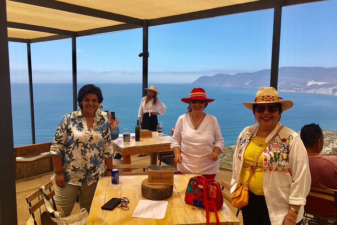 Luxury Private Wine Tasting Tour to Guadalupe Valley from San Diego - Villa Montefiori tasting at 11:00am: a calm start to wine country