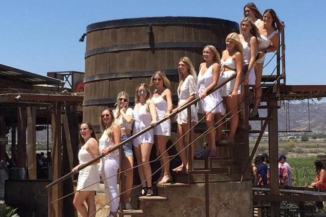 Luxury Private Wine Tasting Tour to Guadalupe Valley from San Diego - Baron Balche at noon: more tasting time plus a cheese platter
