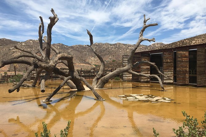 Luxury Private Wine Tasting Tour to Guadalupe Valley from San Diego - Finca Altozano lunch at 2:00pm: BajaMed five-course with chef Javier Plascencia