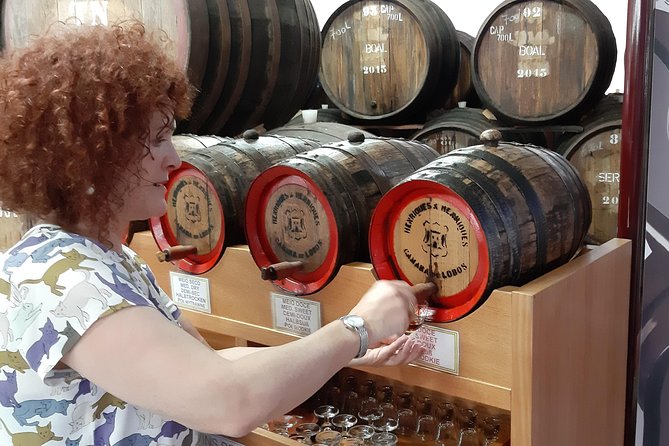 Madeira: Private Half-Day Wine Tasting Tour - Quick take: what stands out most