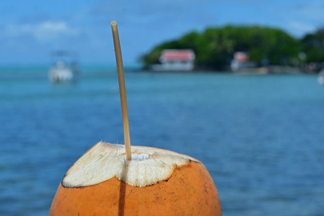 Mahebourg Village Food Tour - Key things I’d plan around