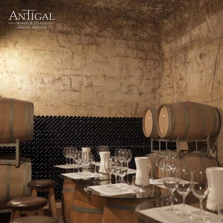 Mendoza: Wine Tasting Tour with Lunch and Private Transport - Key things to know before you go