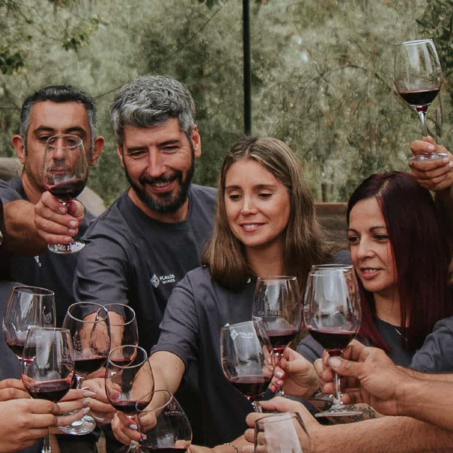 Mendoza: Wine Tasting Tour with Lunch and Private Transport - Why two wineries plus lunch makes a Mendoza day work