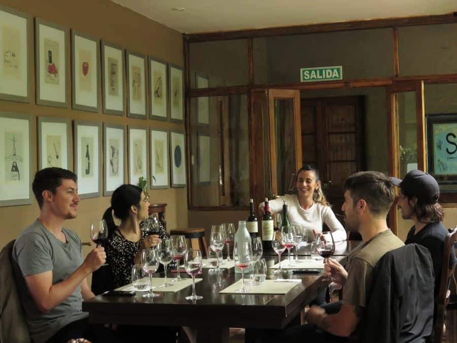 Mendoza: Wine Tasting Tour with Lunch and Private Transport - Stop one: vineyards and tastings at Carinae, Santa Julia, La Rural, or Tempus Alba