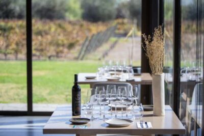 Mendoza: Wine Tasting Tour with Lunch and Private Transport - Private pickup and the reality of car time
