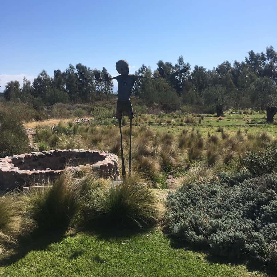 Mendoza: Wine Tasting Tour with Lunch and Private Transport - What you actually learn about Argentine wine production