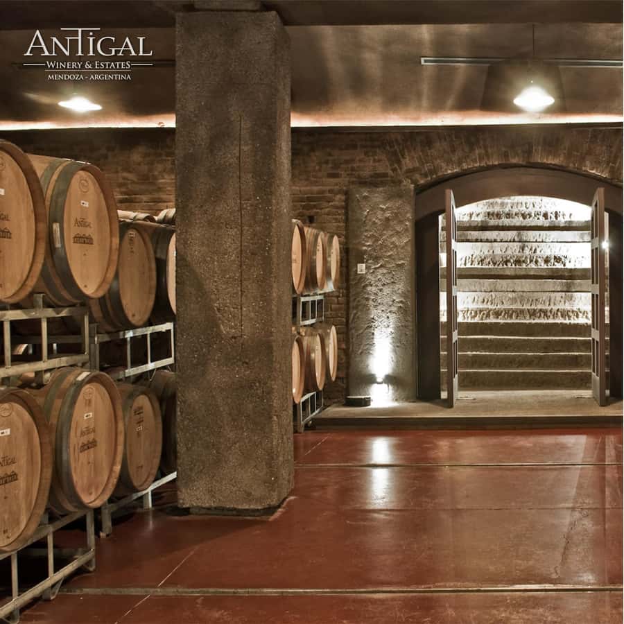 Mendoza: Wine Tasting Tour with Lunch and Private Transport - Price and value: what $220 gets you in Mendoza time