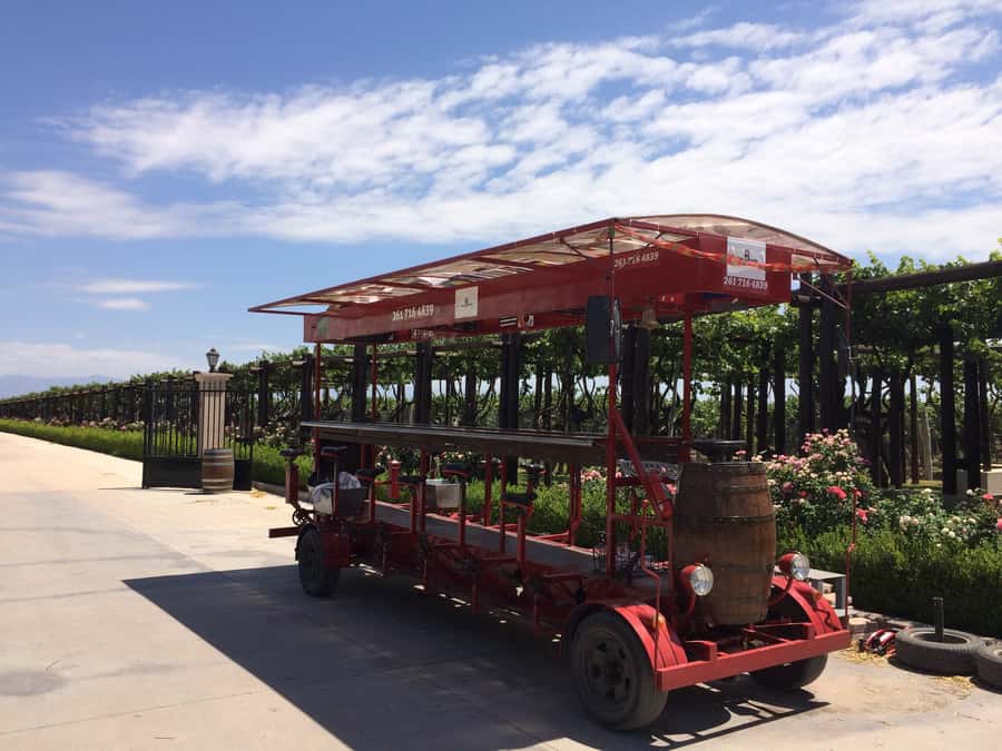 Mendoza: Winebike Tasting Tour with Optional Lunch - Key points you’ll care about