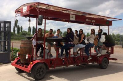 Mendoza: Winebike Tasting Tour with Optional Lunch - The multi-bike ride: vineyards, mountains, and a snacking rhythm