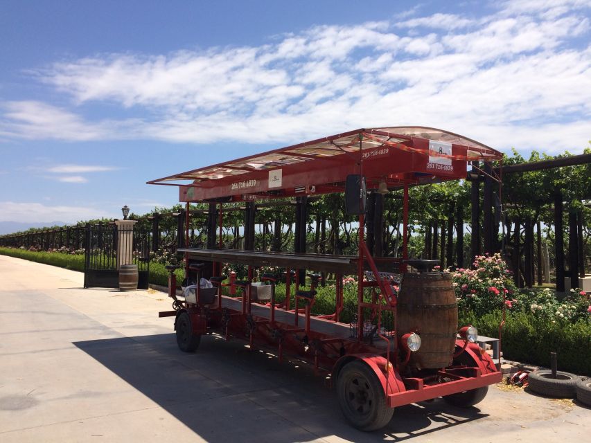 Mendoza: Winebike Tasting Tour with Optional Lunch - Tempus Alba: when a winery is an export player